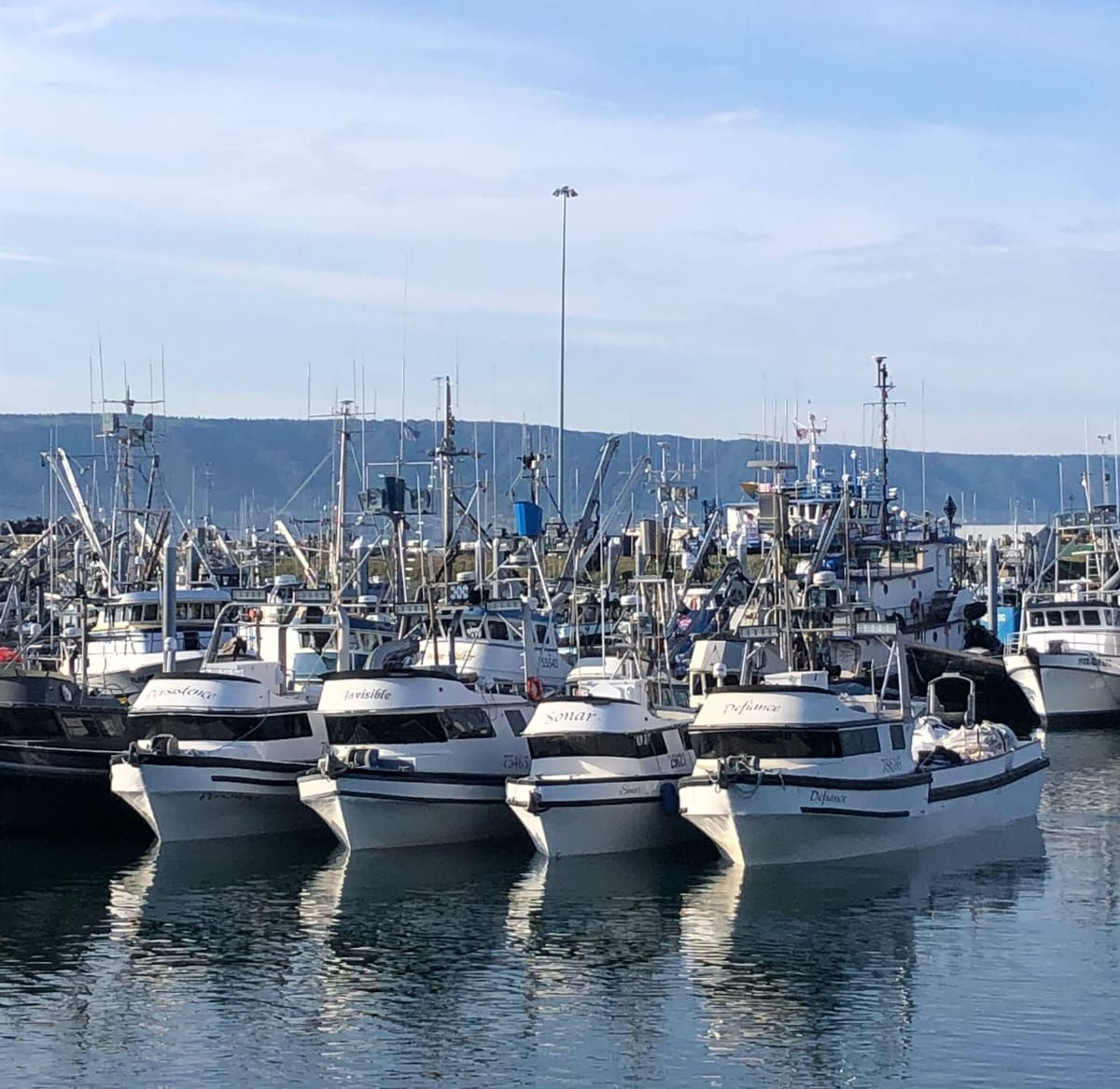 9a335e_2bead8e27d11430ca6007a2ab2838ec0~mv2