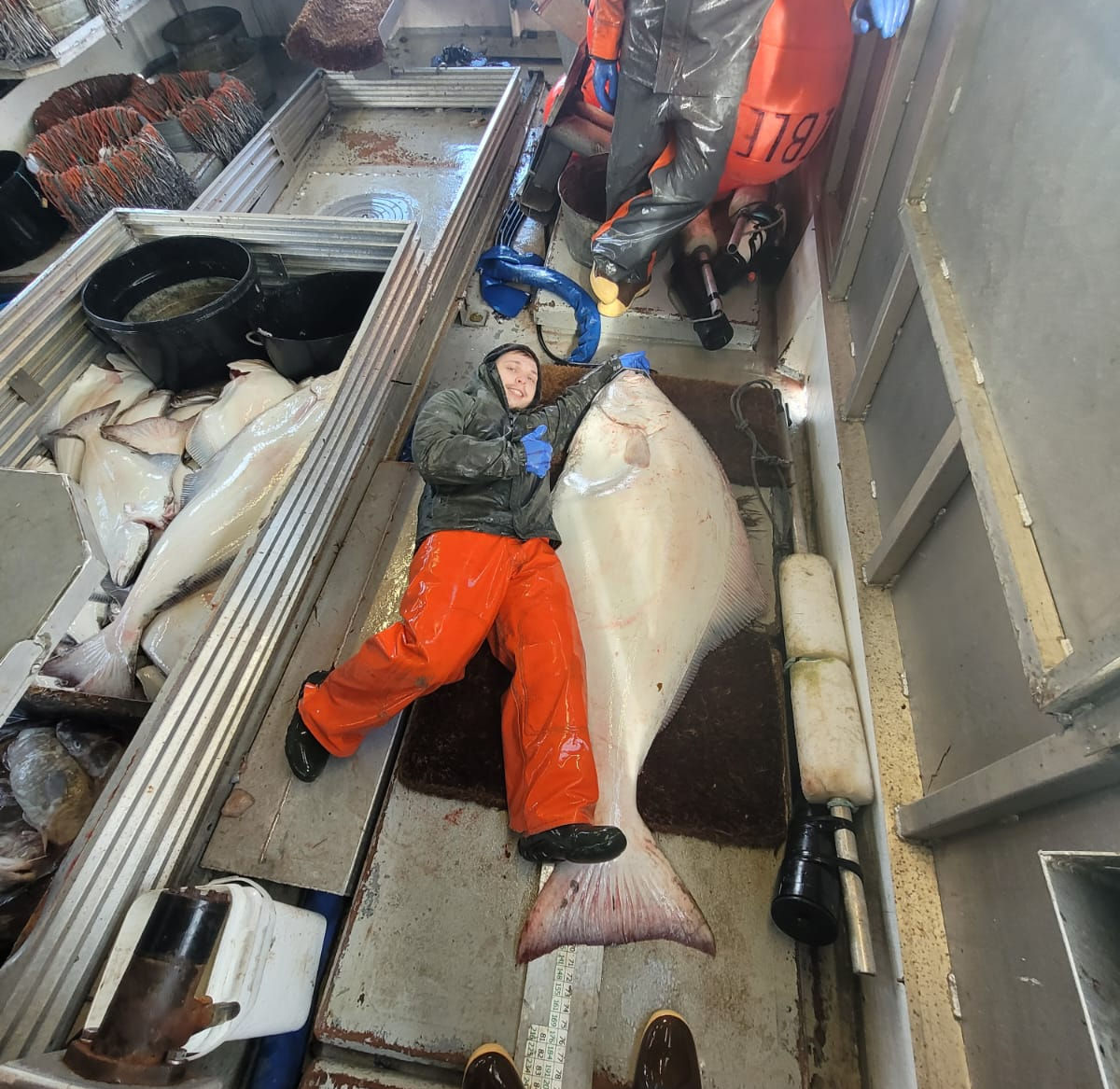 9a335e_c1c76e643f9a4e5ba89ad7243f14a4e5~mv2