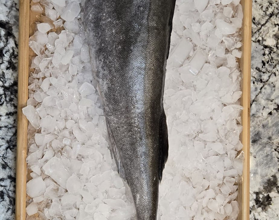 9a335e_5b45c30074334950bfd0d7ac8b387e61~mv2