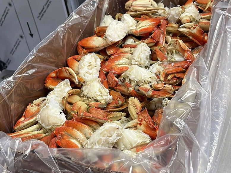 9a335e_de4995469889462a9eca14a9f511027f~mv2